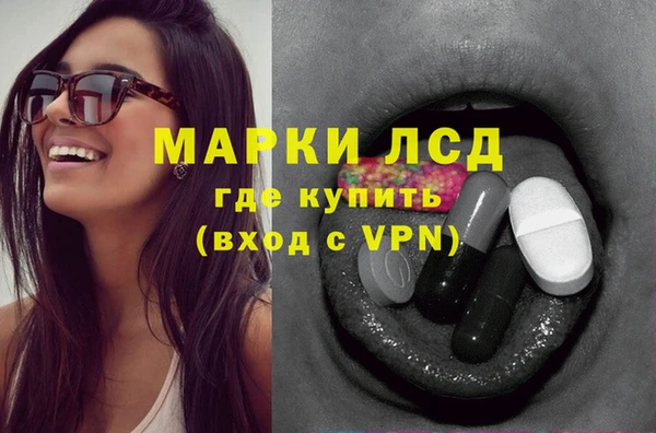 индика Билибино
