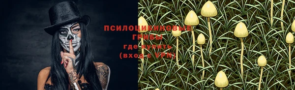 гидра Алзамай