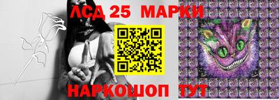 винт Анапа