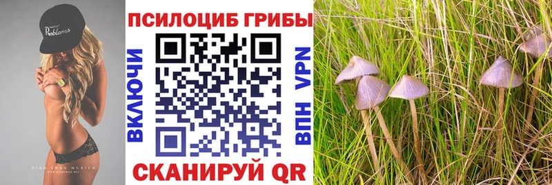Псилоцибиновые грибы GOLDEN TEACHER  мориарти какой сайт  Слободской 