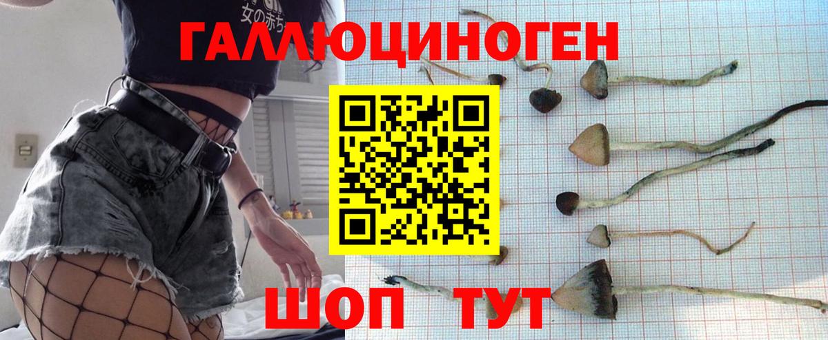 Слободской  Галлюциногенные грибы Magic Shrooms  Галлюциногенные грибы Cubensis  Вход с VPN 
